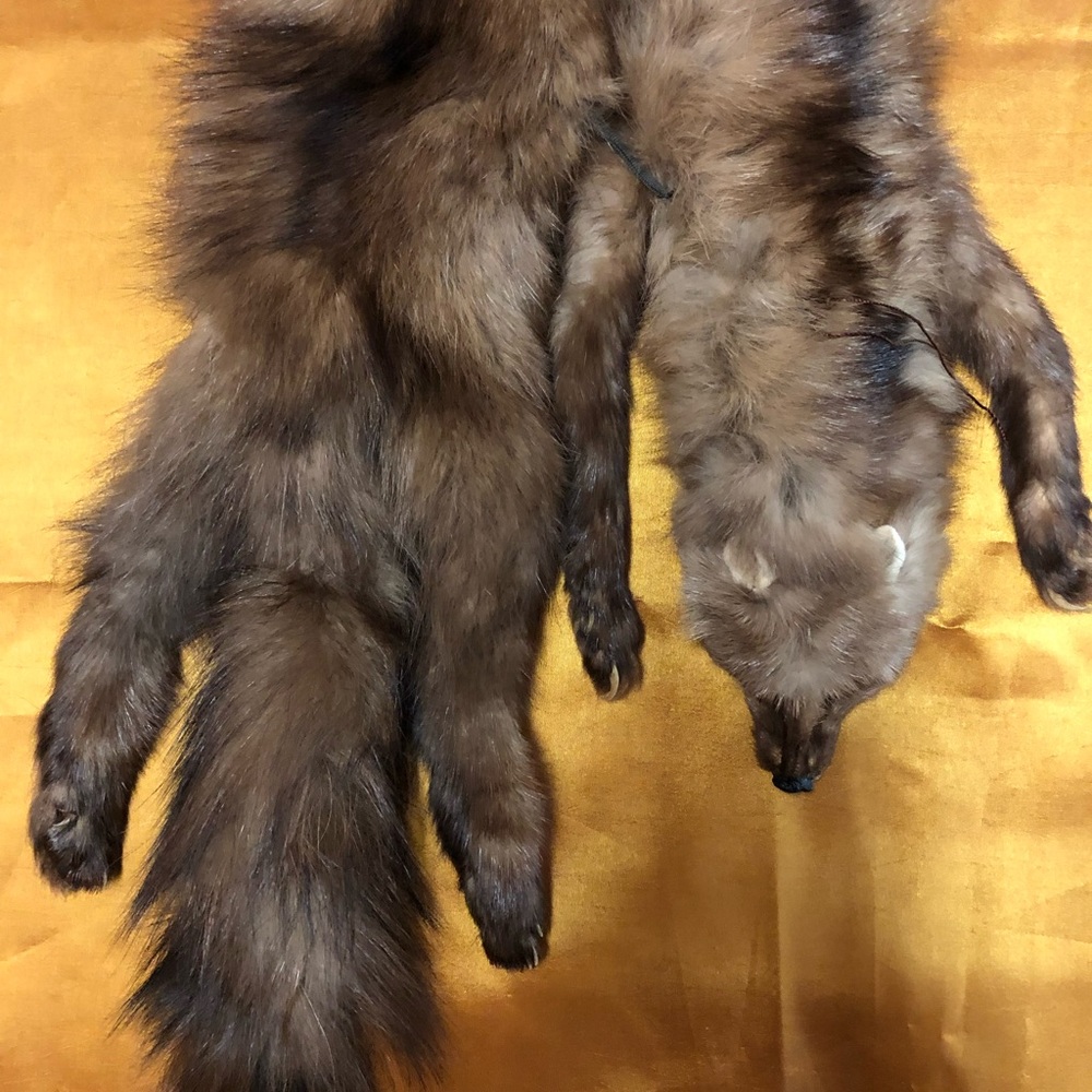 Elegant Brown Fur/Mink Collar - Picture 10 of 12